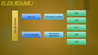 Virusdeshépatites
Virus nus Transmission entérale
HAV
HEV
Virus enveloppés
Transmission
parentérale
HCV
HBV
HDV
VI. EN RESUME !
 