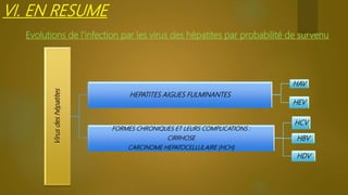 Virusdeshépatites
HEPATITES AIGUES FULMINANTES
HAV
HEV
FORMES CHRONIQUES ET LEURS COMPLICATIONS :
CIRRHOSE
CARCINOME HEPATOCELLULAIRE (HCH)
HCV
HBV
HDV
Evolutions de l’infection par les virus des hépatites par probabilité de survenu
VI. EN RESUME
 