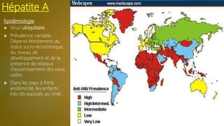 Epidémiologie
 Virus ubiquitaire,
 Prévalence variable,
Dépend étroitement du
statut socio-économique,
du niveau de
développement et de la
présence de réseaux
d’assainissement des eaux
usées.
 Dans les pays à forte
endémicité, les enfants
très tôt exposés au VHA.
Hépatite A
 