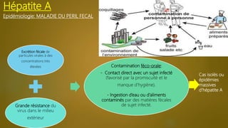 Epidémiologie: MALADIE DU PERIL FECAL
Hépatite A
Excrétion fécale de
particules virales à des
concentrations très
élevées
Grande résistance du
virus dans le milieu
extérieur
Contamination féco-orale:
- Contact direct avec un sujet infecté
(favorisé par la promiscuité et le
manque d’hygiène).
- Ingestion d’eau ou d’aliments
contaminés par des matières fécales
de sujet infecté.
Cas isolés ou
épidémies
massives
d’hépatite A
 