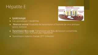  Epidémiologie
 Cas sporadiques / épidémies
 Réservoir animal: Possibilité de transmission à l’homme de virus animaux
(porc): zoonose
 Transmission féco-orale: Transmission par l’eau de boisson contaminée,
Transmission inter-humaine peu importante
 Transmission materno-foetale (3ème trimestre)
Hépatite E
 