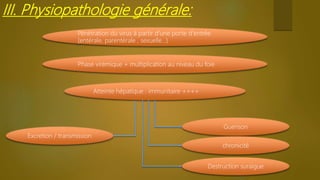 III. Physiopathologie générale:
Pénétration du virus à partir d’une porte d'entrée
(entérale, parentérale , sexuelle…)
Phase virémique + multiplication au niveau du foie
Atteinte hépatique : immunitaire ++++
Excretion / transmission
Guerison
chronicité
Destruction suraigue
 