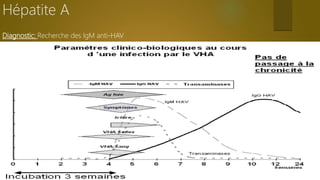  Epidémiologie
 Cas sporadiques / épidémies
 Réservoir animal: Possibilité de transmission à l’homme de virus animaux
(...