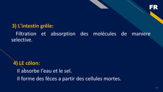FR
12
3) L'intestin grêle:
Filtration et absorption des molécules de maniere
selective.
4) LE côlon:
Il absorbe l'eau et le sel.
Il forme des féces a partir des cellules mortes.
 