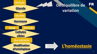 FR
19
Déséquilibre de
variation
Sécrète
Stimule
Quientraine
Sang Stimule
 