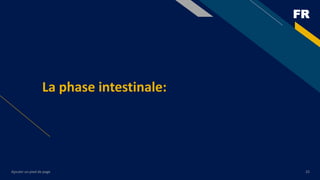 FR
Ajouter un pied de page 25
La phase intestinale:
 