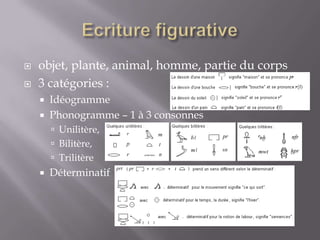  objet, plante, animal, homme, partie du corps
 3 catégories :
 Idéogramme
 Phonogramme – 1 à 3 consonnes
 Unilitère,
 Bilitère,
 Trilitère
 Déterminatif
 
