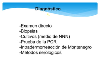 •.
Diagnóstico
-Examen directo
-Biopsias
-Cultivos (medio de NNN)
-Prueba de la PCR
-Intradermorreacción de Montenegro
-Métodos serológicos
 