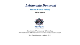 Shivam Kumar Pandey
Ph.D. Scholar
Department of Pharmacology & Toxicology
National Institute of Pharmaceutical Education and Research, Raebareli
New Transit Campus, Lucknow (U.P.)
Leishmania Donovani
 