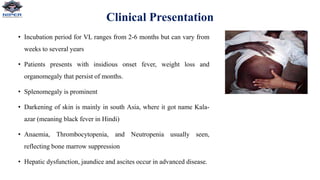 Clinical Presentation
• Incubation period for VL ranges from 2-6 months but can vary from
weeks to several years
• Patients presents with insidious onset fever, weight loss and
organomegaly that persist of months.
• Splenomegaly is prominent
• Darkening of skin is mainly in south Asia, where it got name Kala-
azar (meaning black fever in Hindi)
• Anaemia, Thrombocytopenia, and Neutropenia usually seen,
reflecting bone marrow suppression
• Hepatic dysfunction, jaundice and ascites occur in advanced disease.
 