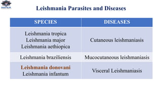 Leishmania Parasites and Diseases
SPECIES DISEASES
Leishmania tropica
Leishmania major
Leishmania aethiopica
Cutaneous leishmaniasis
Leishmania braziliensis Mucocutaneous leishmaniasis
Leishmania donovani
Leishmania infantum
Visceral Leishmaniasis
 