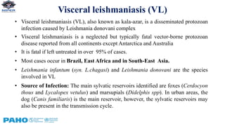 Visceral leishmaniasis (VL)
• Visceral leishmaniasis (VL), also known as kala-azar, is a disseminated protozoan
infection caused by Leishmania donovani complex
• Visceral leishmaniasis is a neglected but typically fatal vector-borne protozoan
disease reported from all continents except Antarctica and Australia
• It is fatal if left untreated in over 95% of cases.
• Most cases occur in Brazil, East Africa and in South-East Asia.
• Leishmania infantum (syn. L.chagasi) and Leishmania donovani are the species
involved in VL
• Source of Infection: The main sylvatic reservoirs identified are foxes (Cerdocyon
thous and Lycalopex vetulus) and marsupials (Didelphis spp). In urban areas, the
dog (Canis familiaris) is the main reservoir, however, the sylvatic reservoirs may
also be present in the transmission cycle.
 