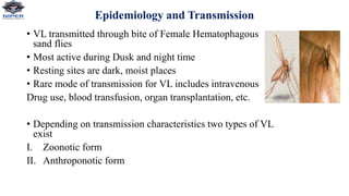 Epidemiology and Transmission
• VL transmitted through bite of Female Hematophagous
sand flies
• Most active during Dusk and night time
• Resting sites are dark, moist places
• Rare mode of transmission for VL includes intravenous
Drug use, blood transfusion, organ transplantation, etc.
• Depending on transmission characteristics two types of VL
exist
I. Zoonotic form
II. Anthroponotic form
 