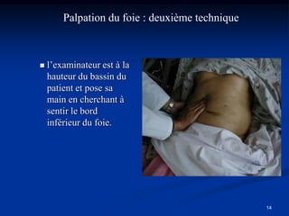Palpation du foie : deuxième technique



   l’examinateur est à la
    hauteur du bassin du
    patient et pose sa
    main en cherchant à
    sentir le bord
    inférieur du foie.




                                                 14
 