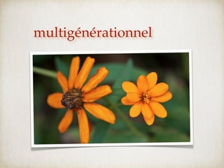 multigénérationnel
 