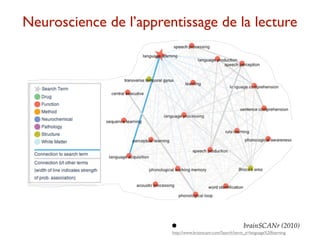 Neuroscience de l’apprentissage de la lecture




                        •                                    brainSCANr (2010)
                        http://www.brainscanr.com/Search?term_a=language%20learning
 
