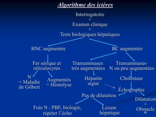 Algorithme des ictères
                           Interrogatoire
                                 +
                         Examen clinique
                                 +
                   Tests biologiques hépatiques

     BNC augmentée                            BC augmentée

      Fer sérique et      Transaminases      Transaminases
      réticulocytes       très augmentées N ou peu augmentées
    N                            Hépatite           Cholestase
= Maladie    Augmentés
             = Hémolyse           aigue
de Gilbert
                                                    Échographie
                                Pas de dilatation
                                                          Dilatation
                                                              =
      Foie N : PBF, biologie,            Lésion           Obstacle
          répéter l’écho                hépatique                39
 