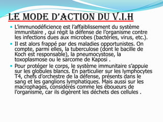 Le mode d’action du V.I.HL’immunodéficience est l’affaiblissement du système immunitaire , qui régit la défense de l’organisme contre les infections dues aux microbes (bactéries, virus, etc.). Il est alors frappé par des maladies opportunistes. On compte, parmi elles, la tuberculose (dont le bacille de Koch est responsable), la pneumocystose, la toxoplasmose ou le sarcome de Kaposi . Pour protéger le corps, le système immunitaire s’appuie sur les globules blancs. En particulier sur les lymphocytes T4, chefs d’orchestre de la défense, présents dans le sang et les ganglions lymphatiques. Mais aussi sur les macrophages, considérés comme les éboueurs de l’organisme, car ils digèrent les déchets des cellules . 