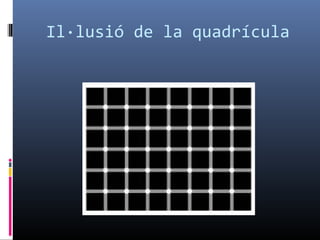 Il·lusió de la quadrícula
 