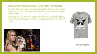 Récupération des mèmes par les sociétés marchandes:
Sur les sites spécialisés dans les produits dérivés, on trouve
facilement des T-shirts Grumpy Cat, ou autres images
détournées.
Grumpy Cat a rendu Tabatha Bundesen, sa propriétaire,
millionnaire depuis ses premières apparitions sur le web en
2012
13
T Shirt Grumpy Cat
 