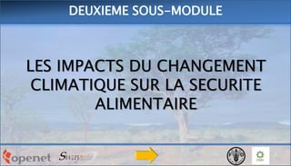 DEUXIEME SOUS-MODULE

LES IMPACTS DU CHANGEMENT
CLIMATIQUE SUR LA SECURITE
ALIMENTAIRE

 