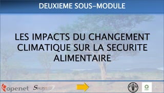 LES IMPACTS DU CHANGEMENT
CLIMATIQUE SUR LA SECURITE
ALIMENTAIRE
DEUXIEME SOUS-MODULE
 