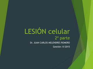 LESIÓN celular
2ª parte
Dr. JUAN CARLOS MELENDRES ROMERO
Gestión: II/2015
 