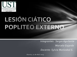 Integrantes: Sergio Aguilante
Marcelo Gajardo
Docente: Sylvia Mutizabal S.
Osorno, 11 de Abril 2013
 