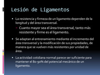 La resistencia y firmeza de un ligamento
dependen de la longitud y del área transversal.
 Cuanto mayor sea el área transversal, tanto más
resistente y firme es el ligamento.
 Se adaptan al entrenamiento mediante el
incremento del área transversal y la modificación
de sus propiedades, de manera que se vuelven
más resistentes por unidad de área.
 La actividad cotidiana normal parece ser
suficiente para mantener el 80-90% del potencial
mecánico de un ligamento.
Lesión de Ligamentos
 