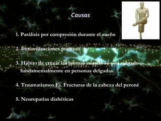 Lesión del Crural

   Parálisis del cuádriceps
      Flexión del muslo

      Extensión de la pierna



   Abolición d...