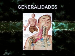 GENERALIDADES
 