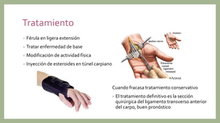 Tratamiento
• Férula en ligera extensión
• Tratar enfermedad de base
• Modificación de actividad física
• Inyección de esteroides en túnel carpiano
Cuando fracasa tratamiento conservativo
• El tratamiento definitivo es la sección
quirúrgica del ligamento transverso anterior
del carpo, buen pronóstico
 