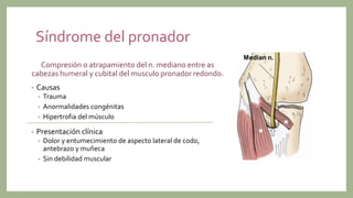 Síndrome del pronador
Compresión o atrapamiento del n. mediano entre as
cabezas humeral y cubital del musculo pronador redondo.
• Causas
• Trauma
• Anormalidades congénitas
• Hipertrofia del músculo
• Presentación clínica
• Dolor y entumecimiento de aspecto lateral de codo,
antebrazo y muñeca
• Sin debilidad muscular
 