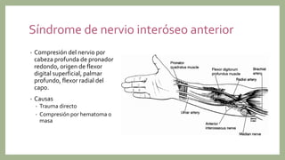 Síndrome de nervio interóseo anterior
• Compresión del nervio por
cabeza profunda de pronador
redondo, origen de flexor
digital superficial, palmar
profundo, flexor radial del
capo.
• Causas
• Trauma directo
• Compresión por hematoma o
masa
 