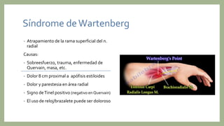 Síndrome deWartenberg
• Atrapamiento de la rama superficial del n.
radial
Causas:
• Sobreesfuerzo, trauma, enfermedad de
Quervain, masa, etc.
• Dolor 8 cm proximal a apófisis estiloides
• Dolor y parestesia en área radial
• Signo deTinel positivo (negativo en Quervain)
• El uso de reloj/brazalete puede ser doloroso
 