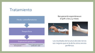 Tratamiento
Exploración quirúrgica
6 m. sin signos electromiográficos
de recuperación
Fractura abierta de húmero con
parálisis del n. radial
Terapia física
Férula + antiinflamatorios
Recuperación espontánea en
el 90% a los 3-4 meses.
Los resultados de la sutura de este nervio
son mejores que en la de los otros nervios
periféricos
 