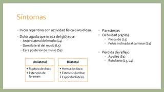 Síntomas
• Inicio repentino con actividad física o insidioso.
• Dolor agudo que irrada del glúteo a:
• Anterolateral del muslo (L4)
• Dorsolateral del muslo (L5)
• Cara posterior de muslo (S1)
Unilateral
• Ruptura de disco
• Estenosis de
foramen
Bilateral
• Hernia de disco
• Estenosis lumbar
• Espondilolistesis
• Parestesias
• Debilidad (<50%)
• Pie caído (L5)
• Pelvis inclinada al caminar (S1)
• Perdida de reflejo
• Aquíleo (S1)
• Rotuliano (L3, L4)
 