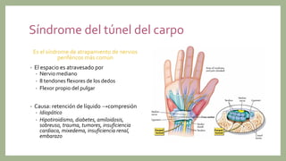 Síndrome del túnel del carpo
Es el síndrome de atrapamiento de nervios
periféricos más común
• El espacio es atravesado por
• Nervio mediano
• 8 tendones flexores de los dedos
• Flexor propio del pulgar
• Causa: retención de líquido →compresión
• Idiopático
• Hipotiroidismo, diabetes, amiloidosis,
sobreuso, trauma, tumores, insuficiencia
cardiaca, mixedema, insuficiencia renal,
embarazo
 