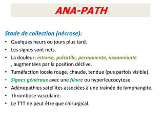 ANA-PATH

Stade de collection (nécrose):
• Quelques heurs ou jours plus tard.
• Les signes sont nets.
• La douleur: intense, pulsatile, permanente, insomniante
  , augmentées par la position déclive.
• Tuméfaction locale rouge, chaude, tendue (pus parfois visible).
• Signes généraux avec une fièvre ou hyperleucocytose.
• Adénopathies satellites associées à une traînée de lymphangite.
• Thrombose vasculaire.
• Le TTT ne peut être que chirurgical.
 