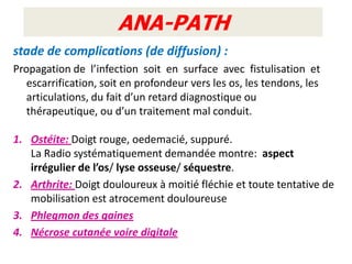 ANA-PATH
stade de complications (de diffusion) :
Propagation de l’infection soit en surface avec fistulisation et
   escarrification, soit en profondeur vers les os, les tendons, les
   articulations, du fait d’un retard diagnostique ou
   thérapeutique, ou d’un traitement mal conduit.

1. Ostéite: Doigt rouge, oedemacié, suppuré.
   La Radio systématiquement demandée montre: aspect
   irrégulier de l’os/ lyse osseuse/ séquestre.
2. Arthrite: Doigt douloureux à moitié fléchie et toute tentative de
   mobilisation est atrocement douloureuse
3. Phlegmon des gaines
4. Nécrose cutanée voire digitale
 