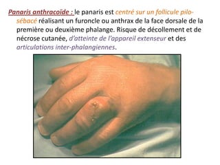 Panaris anthracoïde : le panaris est centré sur un follicule pilo-
  sébacé réalisant un furoncle ou anthrax de la face dorsale de la
  première ou deuxième phalange. Risque de décollement et de
  nécrose cutanée, d’atteinte de l’appareil extenseur et des
  articulations inter-phalangiennes.
 