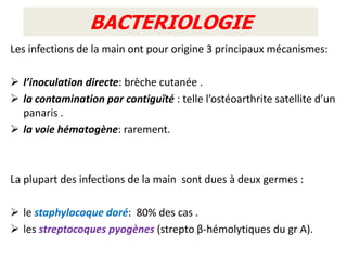 BACTERIOLOGIE
Les infections de la main ont pour origine 3 principaux mécanismes:

 l’inoculation directe: brèche cutanée .
 la contamination par contiguïté : telle l’ostéoarthrite satellite d’un
  panaris .
 la voie hématogène: rarement.



La plupart des infections de la main sont dues à deux germes :

 le staphylocoque doré: 80% des cas .
 les streptocoques pyogènes (strepto β-hémolytiques du gr A).
 