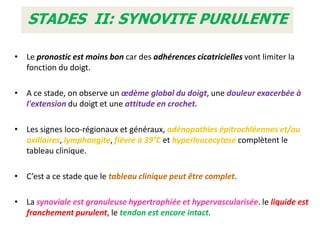 STADES II: SYNOVITE PURULENTE

• Le pronostic est moins bon car des adhérences cicatricielles vont limiter la
  fonction du doigt.

• A ce stade, on observe un œdème global du doigt, une douleur exacerbée à
  l'extension du doigt et une attitude en crochet.

• Les signes loco-régionaux et généraux, adénopathies épitrochléennes et/ou
  axillaires, lymphangite, fièvre à 39°C et hyperleucocytose complètent le
  tableau clinique.

• C’est a ce stade que le tableau clinique peut être complet.

• La synoviale est granuleuse hypertrophiée et hypervascularisée. le liquide est
  franchement purulent, le tendon est encore intact.
 