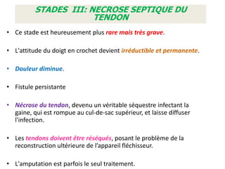 STADES III: NECROSE SEPTIQUE DU
                       TENDON
• Ce stade est heureusement plus rare mais très grave.

• L'attitude du doigt en crochet devient irréductible et permanente.

• Douleur diminue.

• Fistule persistante

• Nécrose du tendon, devenu un véritable séquestre infectant la
  gaine, qui est rompue au cul-de-sac supérieur, et laisse diffuser
  l'infection.

• Les tendons doivent être réséqués, posant le problème de la
  reconstruction ultérieure de l’appareil fléchisseur.

• L'amputation est parfois le seul traitement.
 