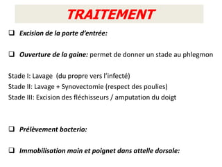 TRAITEMENT
 Excision de la porte d’entrée:

 Ouverture de la gaine: permet de donner un stade au phlegmon

Stade I: Lavage (du propre vers l’infecté)
Stade II: Lavage + Synovectomie (respect des poulies)
Stade III: Excision des fléchisseurs / amputation du doigt



 Prélèvement bacterio:

 Immobilisation main et poignet dans attelle dorsale:
 