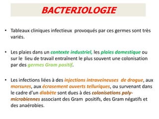 BACTERIOLOGIE

• Tableaux cliniques infectieux provoqués par ces germes sont très
  variés.

• Les plaies dans un contexte industriel, les plaies domestique ou
  sur le lieu de travail entraînent le plus souvent une colonisation
  par des germes Gram positif.

• Les infections liées à des injections intraveineuses de drogue, aux
  morsures, aux écrasement ouverts telluriques, ou survenant dans
  le cadre d’un diabète sont dues à des colonisations poly-
  microbiennes associant des Gram positifs, des Gram négatifs et
  des anaérobies.
 