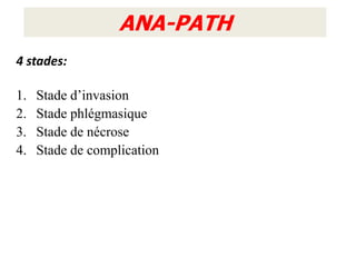 ANA-PATH
4 stades:

1.   Stade d’invasion
2.   Stade phlégmasique
3.   Stade de nécrose
4.   Stade de complication
 