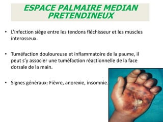 ESPACE PALMAIRE MEDIAN
             PRETENDINEUX
• L’infection siège entre les tendons fléchisseur et les muscles
  interosseux.

• Tuméfaction douloureuse et inflammatoire de la paume, il
  peut s’y associer une tuméfaction réactionnelle de la face
  dorsale de la main.

• Signes généraux: Fièvre, anorexie, insomnie…
 
