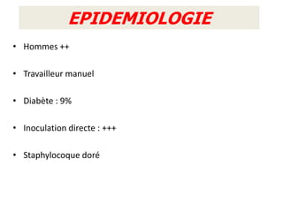 EPIDEMIOLOGIE
• Hommes ++

• Travailleur manuel

• Diabète : 9%

• Inoculation directe : +++

• Staphylocoque doré
 