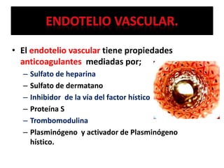 • El endotelio vascular tiene propiedades
anticoagulantes mediadas por;
– Sulfato de heparina
– Sulfato de dermatano
– Inhibidor de la vía del factor hístico
– Proteína S
– Trombomodulina
– Plasminógeno y activador de Plasminógeno
hístico.
 